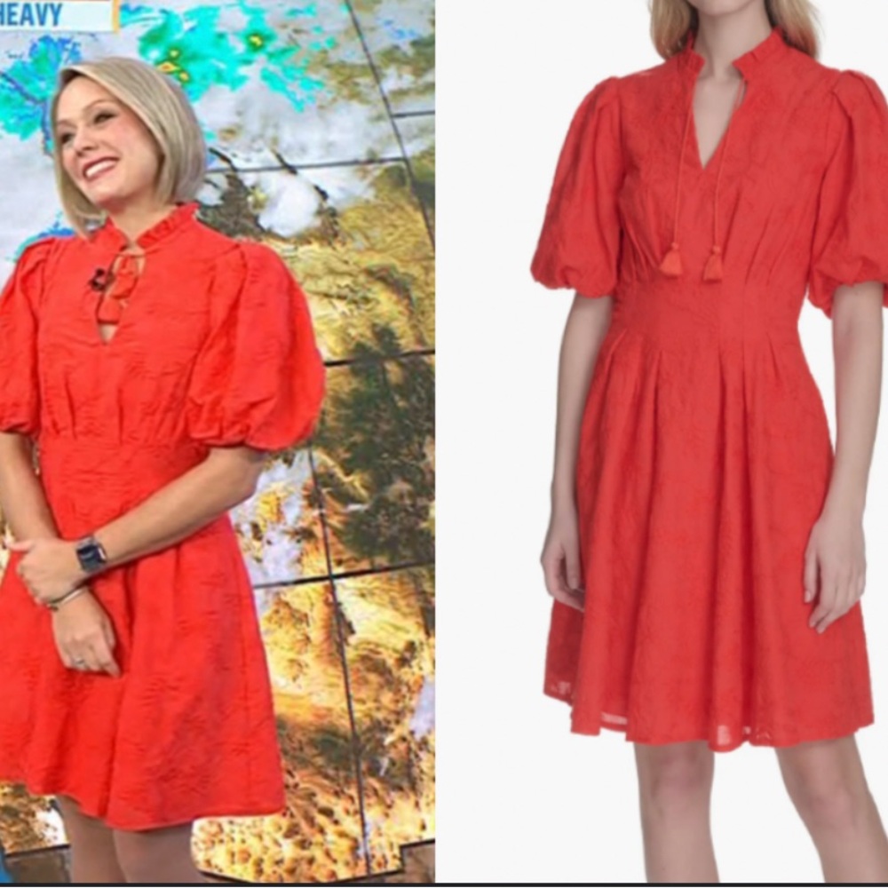 NWT Eliza J Ruffle Puff Sleeve Emboidered Cotton Fit & Flare Dress Red size 14